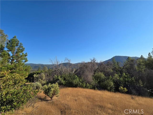 Detail Gallery Image 6 of 32 For 804 Craig Access Road, Feather Falls,  CA 95940 - 2 Beds | 1 Baths