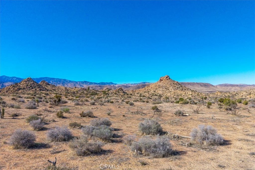 MLS #JT25250010 image #12