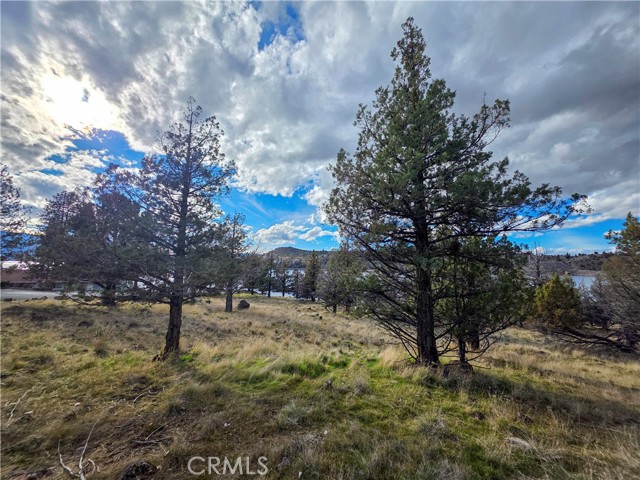 Detail Gallery Image 4 of 16 For 0 Driftwood, Weed,  CA 96094 - – Beds | – Baths