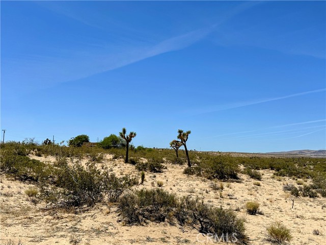 Detail Gallery Image 7 of 7 For 0 Amargo Rd, Landers,  CA 92285 - – Beds | – Baths