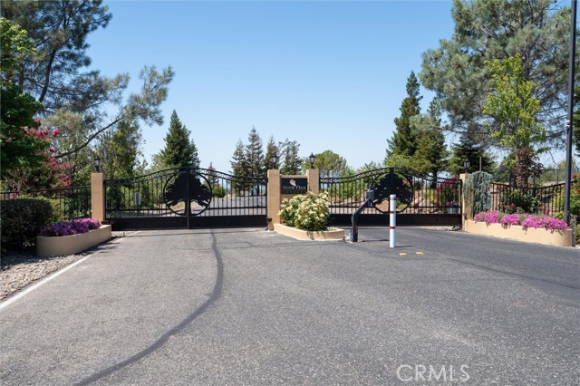 0 Bay Tree Drive, Paradise, California 95969, ,Land,For Sale,0 Bay Tree Drive,CRSN23011986