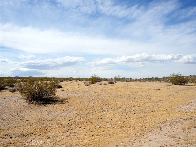 Image 12 of 21 For 0 Belmont Street