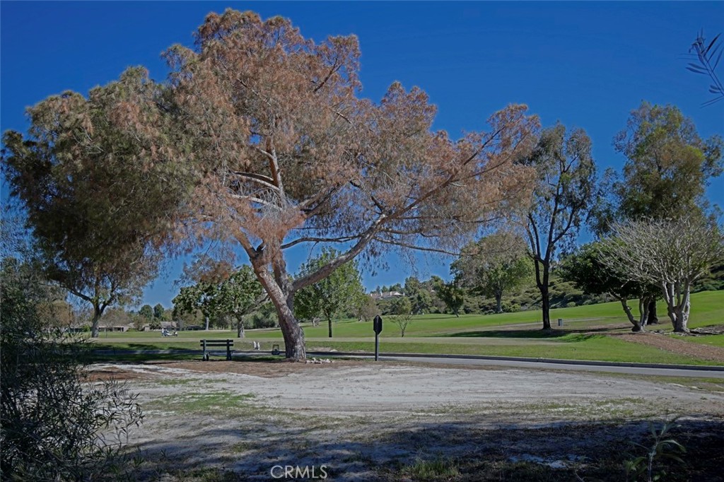 MLS #OC25252443 image #55