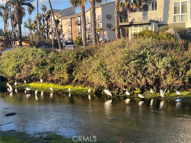 Detail Gallery Image 38 of 41 For 3512 Pacific Ave #2,  Los Angeles,  CA 90292 - 2 Beds | 2 Baths