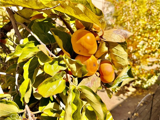 Detail Gallery Image 46 of 56 For 25708 Aspenwood Ct, Moreno Valley,  CA 92557 - 3 Beds | 2 Baths