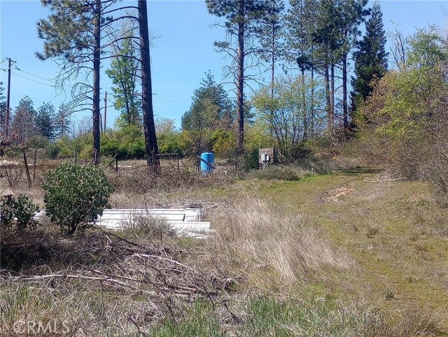 Detail Gallery Image 17 of 27 For 3515 Hoffman, Oroville,  CA 95965 - – Beds | – Baths