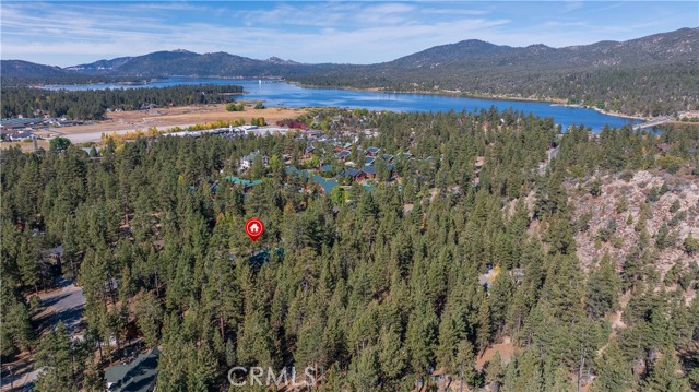 Detail Gallery Image 41 of 41 For 125 Starvation Flats Rd, Big Bear Lake,  CA 92315 - 4 Beds | 5/1 Baths