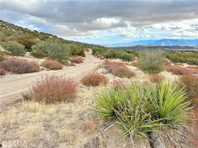 Detail Gallery Image 24 of 46 For 40 Acres via Oak Grove Ln, Ranchita,  CA 92066 - – Beds | – Baths