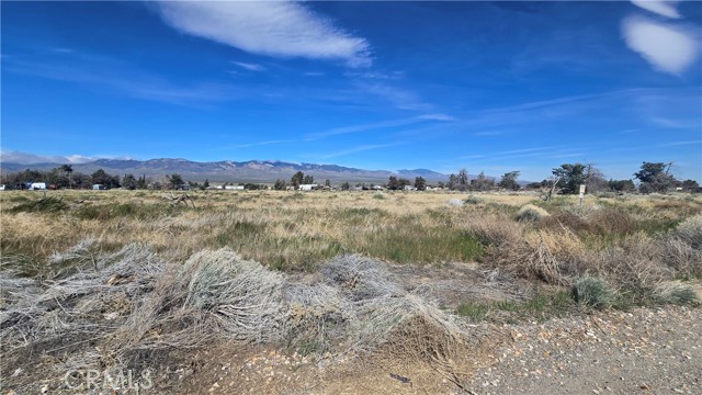 Detail Gallery Image 15 of 32 For 0 Lancaster Rd/Hwy 138 Vic 283rd W, –,  CA 93536 - – Beds | – Baths