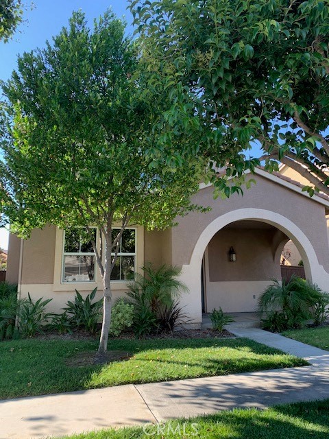 Front Image Thumbnail for CROC25269976