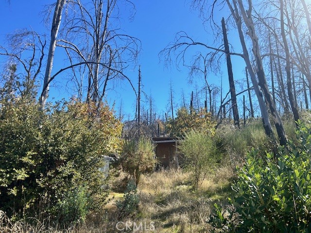 Detail Gallery Image 21 of 39 For 0 Craig Access, Feather Falls,  CA 95940 - – Beds | – Baths