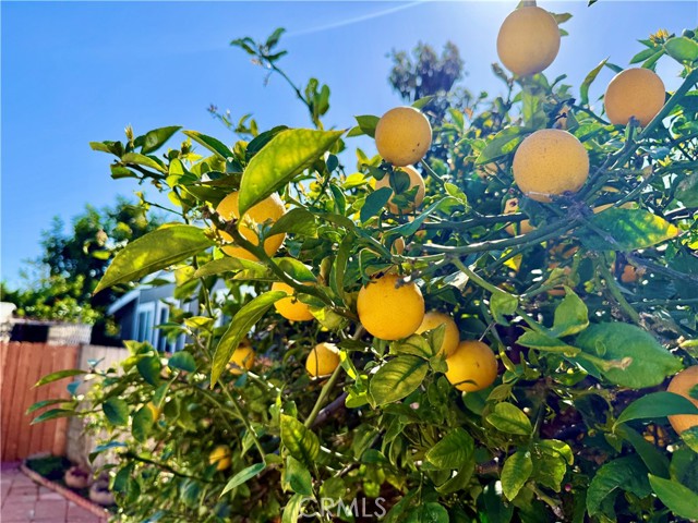 Detail Gallery Image 22 of 32 For 14081 Magnolia #140,  Westminster,  CA 92683 - 3 Beds | 2 Baths