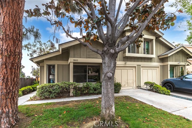 3683 Cactusview Drive, San Diego CA: https://media.crmls.org/medias/48a80adb-671e-4c9b-a52b-81944e21d132.jpg