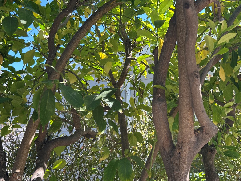 https://media.crmls.org/medias/48ab731b-4118-4bba-b3e4-979d74198ac4.jpg?preset=X-Large