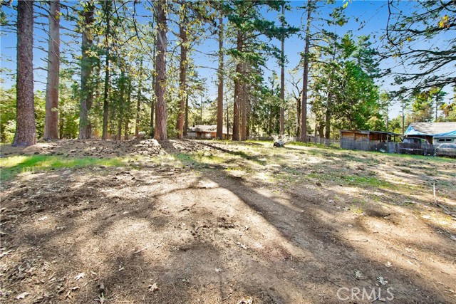 Detail Gallery Image 8 of 20 For 0 Pine Ridge Rd, Idyllwild,  CA 92548 - – Beds | – Baths