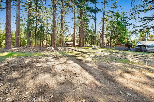 Detail Gallery Image 8 of 20 For 0 Pine Ridge Rd, Idyllwild,  CA 92548 - – Beds | – Baths