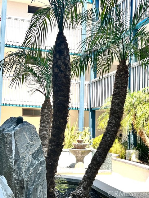 Zen courtyard inside the building