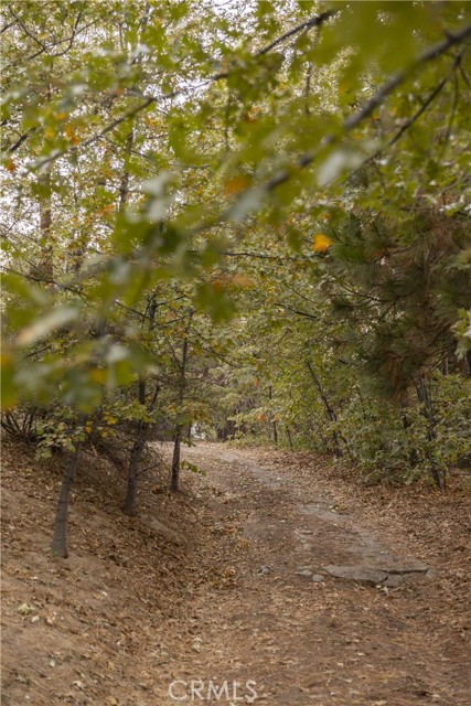 3 Bed Home for Sale in Lake Arrowhead, California