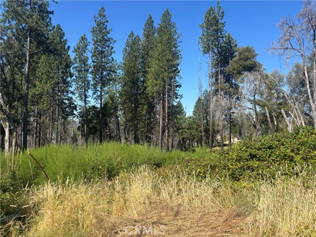 Detail Gallery Image 9 of 21 For 1996 Bald Rock Rd, Berry Creek,  CA 95916 - – Beds | – Baths