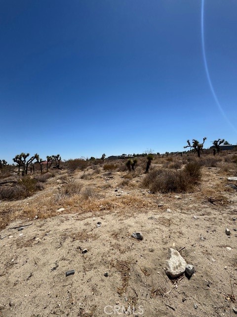 Detail Gallery Image 3 of 3 For 0 Arena Rd, Pinon Hills,  CA 92372 - – Beds | – Baths