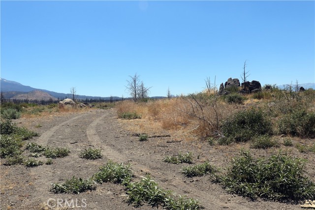 Detail Gallery Image 10 of 14 For 0 Juniper Valley, Weed,  CA 96094 - – Beds | – Baths