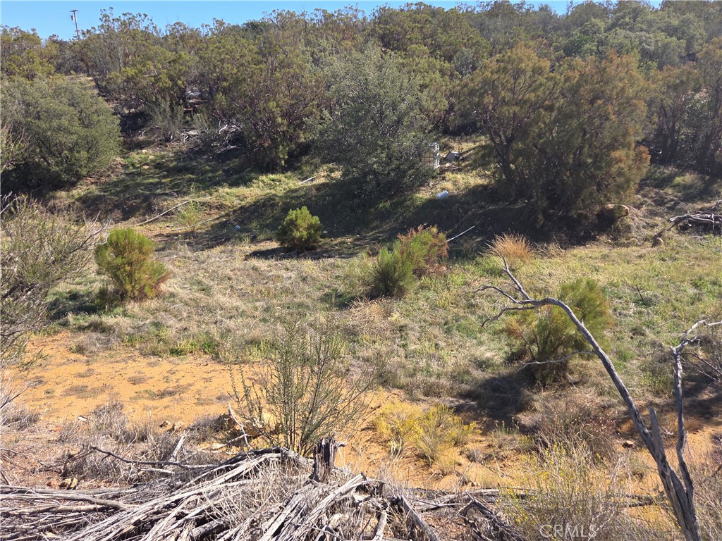 MLS #SW25248553 image #8