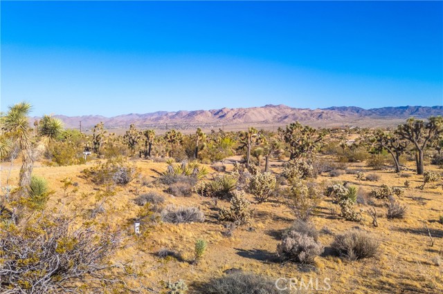 Detail Gallery Image 46 of 75 For 58871 Meredith Ct, Yucca Valley,  CA 92284 - 3 Beds | 2 Baths