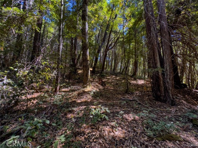 Detail Gallery Image 4 of 12 For 3700 Redwood Creek Rd, Willits,  CA 95490 - – Beds | – Baths
