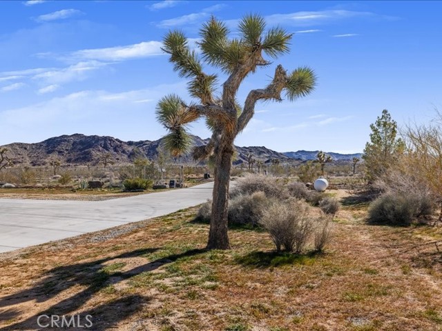 Detail Gallery Image 44 of 71 For 60208 Aberdeen, Joshua Tree,  CA 92252 - 3 Beds | 2/1 Baths