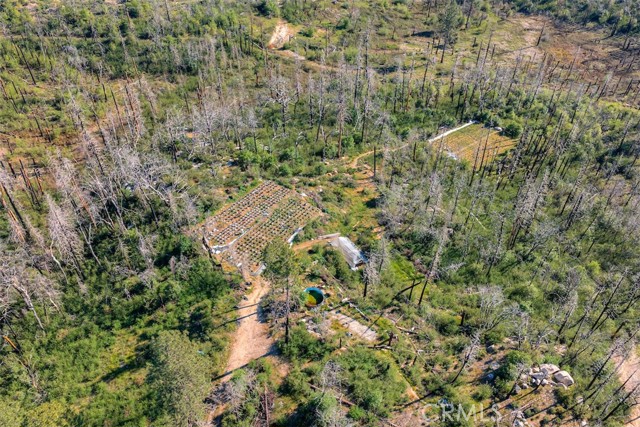 Detail Gallery Image 18 of 20 For 0 Four M Ct, Berry Creek,  CA 95916 - – Beds | – Baths