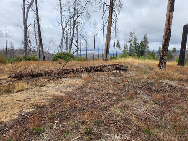 Detail Gallery Image 4 of 7 For 1103 Bald Rock Rd, Berry Creek,  CA 95916 - – Beds | – Baths