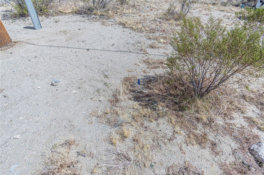 MLS #HD25097253 image #9