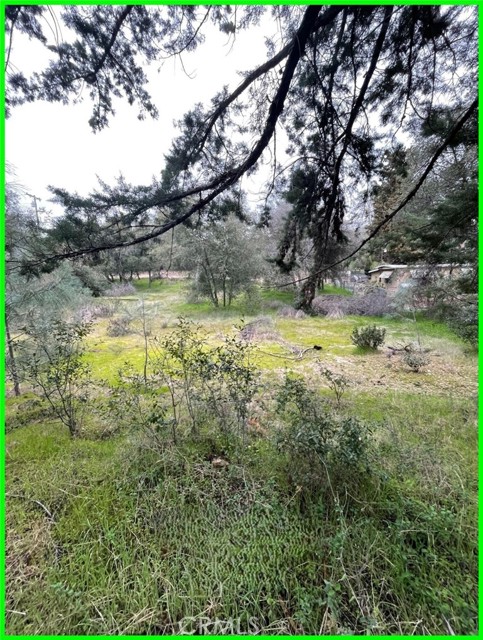 Detail Gallery Image 7 of 10 For 13672 Fair Oak Rd, Clearlake,  CA 95424 - – Beds | – Baths