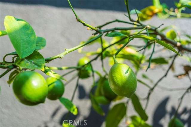 Detail Gallery Image 47 of 52 For 15619 Gerkin Avenue, Lawndale,  CA 90260 - 3 Beds | 2 Baths