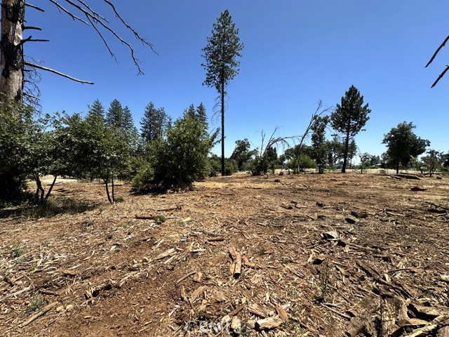 5440 Edgewood Lane, Paradise CA: https://media.crmls.org/medias/48dd70cc-e963-437f-bd97-1d501a56c003.jpg