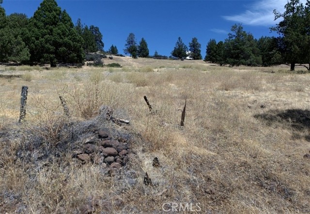 Detail Gallery Image 13 of 24 For 0 Erick Ln, Montague,  CA 96064 - – Beds | – Baths