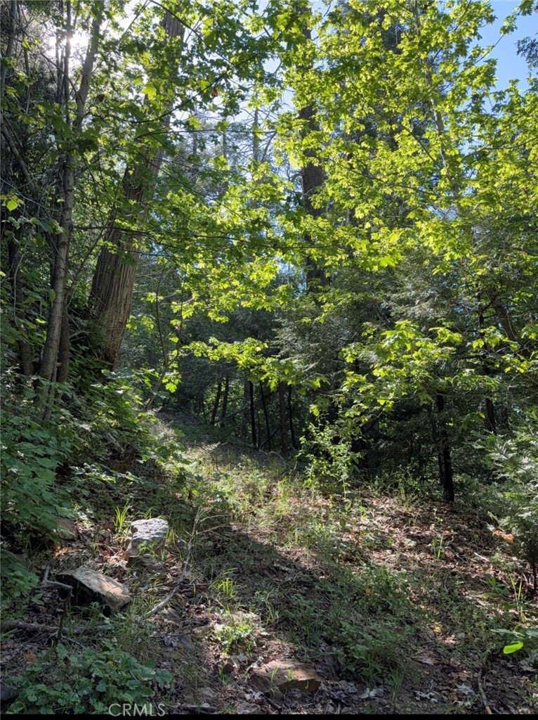 https://media.crmls.org/medias/48e23963-49b7-4610-9e1c-07ba0746247f.jpg?preset=X-Large
