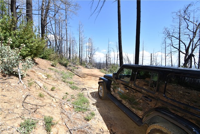93 Stump Ranch Road, Berry Creek, CA, 95916 93 Stump Ranch Road, Berry Creek, CA, 95916