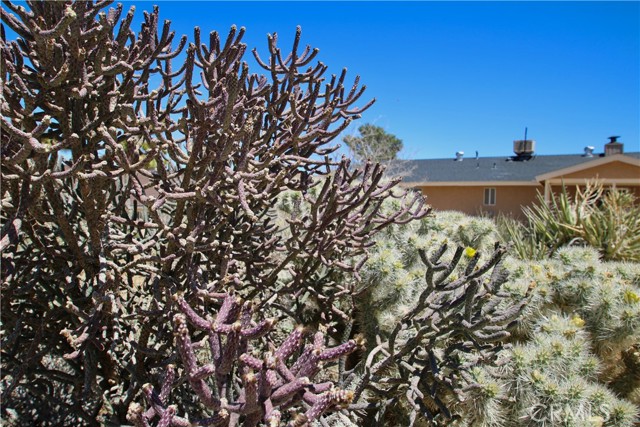 Detail Gallery Image 40 of 47 For 7676 Elwood St, Joshua Tree,  CA 92252 - 3 Beds | 2 Baths