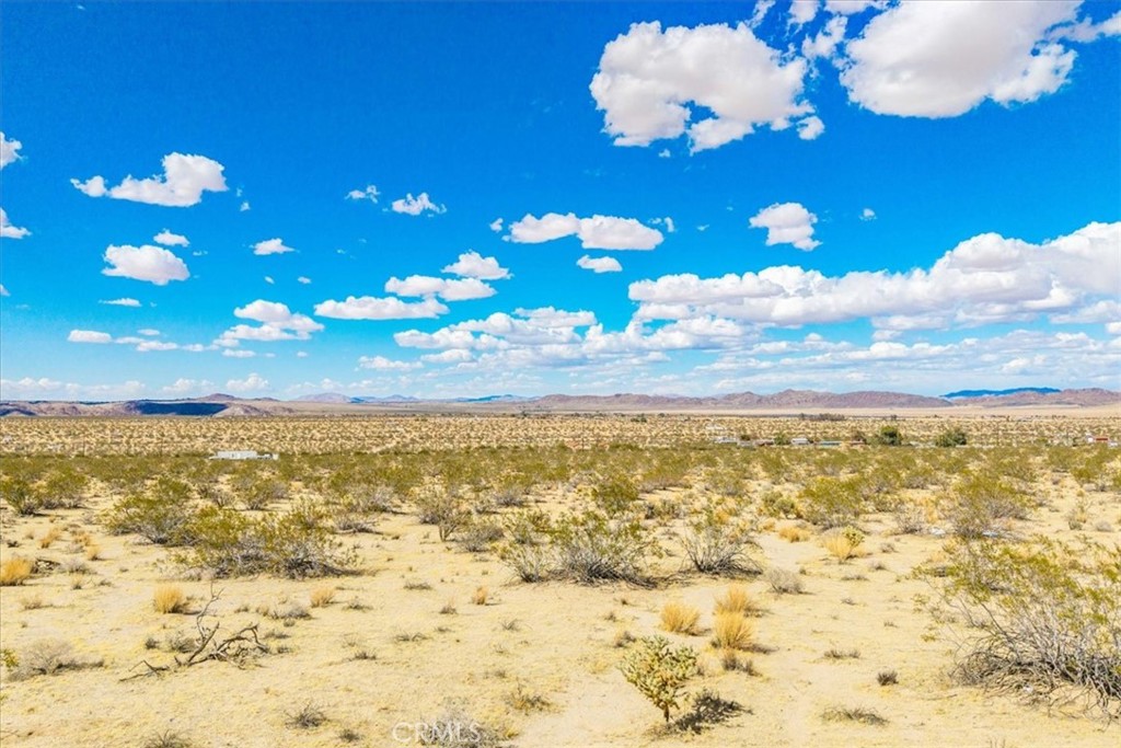 MLS #JT25078199 image #8