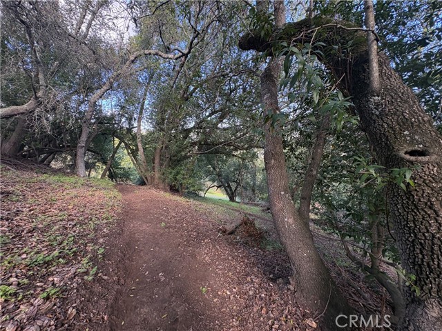 Detail Gallery Image 10 of 20 For 12000 San Marcos, Atascadero,  CA 93422 - – Beds | – Baths