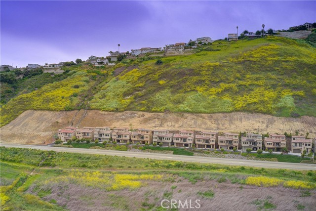 Detail Gallery Image 61 of 61 For 1009 Canyon Ln, Pismo Beach,  CA 93449 - 3 Beds | 2/1 Baths