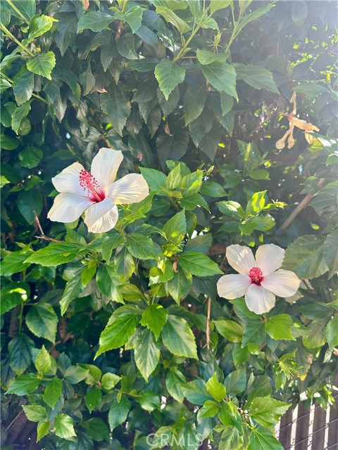 Detail Gallery Image 37 of 39 For 13608 Yukon Ave, Hawthorne,  CA 90250 - 5 Beds | 3 Baths