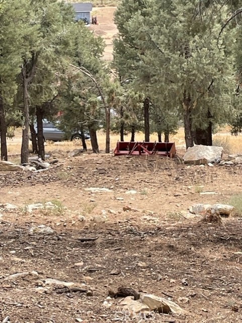 0 Lakeview Dr, Baldwin Lake, CA 92314