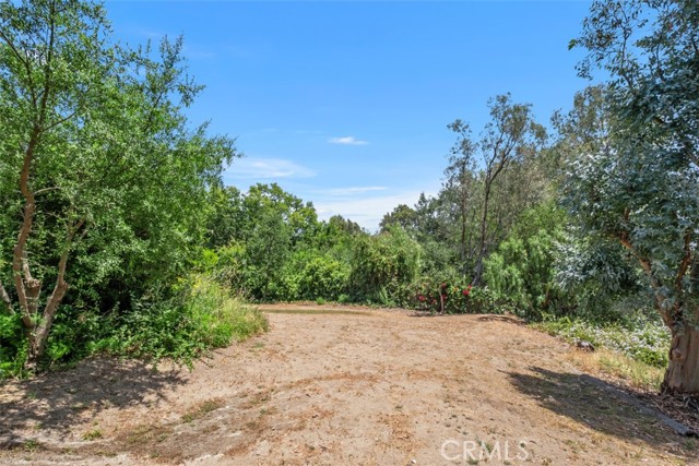 1815 Ladera Vista Place, Fullerton CA: https://media.crmls.org/medias/49096cb4-2254-4414-8a08-69da78269c81.jpg