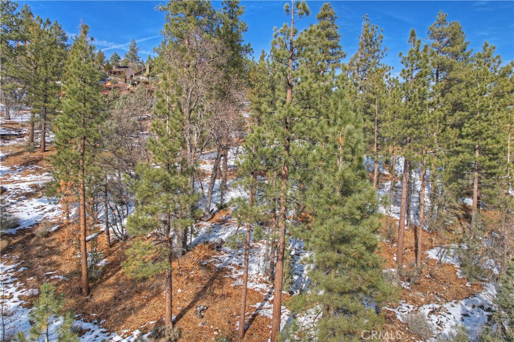 0 Fawnskin Drive, Fawnskin, CA 92333