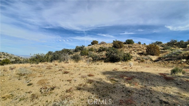 MLS #SR25242278 image #43