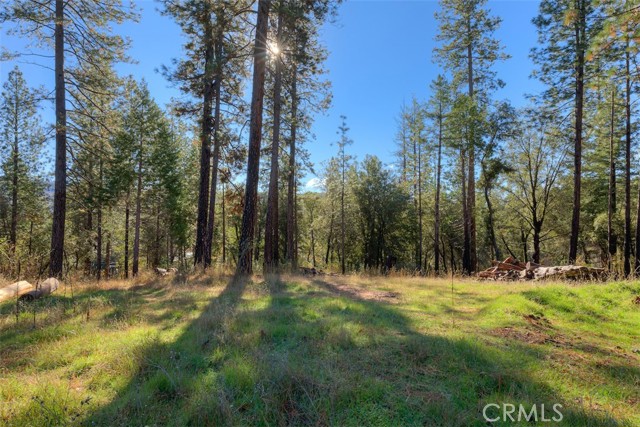 Detail Gallery Image 31 of 41 For 3625 Charqui Ct, Oroville,  CA 95965 - 3 Beds | 2 Baths