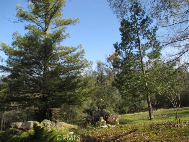 15 Hide A Way Road, Oroville CA: https://media.crmls.org/medias/4913fc97-1867-4f17-b24e-06f07f836efa.jpg