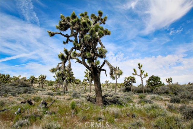 Detail Gallery Image 11 of 33 For 27 Vista Rd, Pioneertown,  CA 92356 - – Beds | – Baths